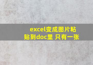 excel变成图片粘贴到doc里 只有一张